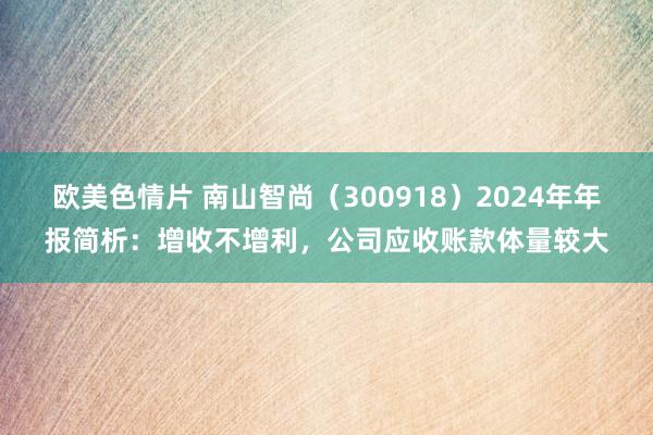欧美色情片 南山智尚（300918）2024年年报简析：增收不增利，公司应收账款体量较大