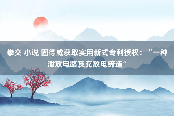 拳交 小说 固德威获取实用新式专利授权：“一种泄放电路及充放电缔造”