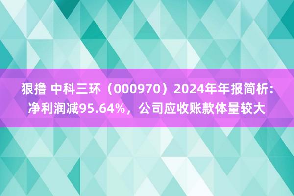 狠撸 中科三环（000970）2024年年报简析：净利润减95.64%，公司应收账款体量较大