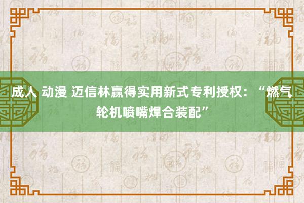成人 动漫 迈信林赢得实用新式专利授权：“燃气轮机喷嘴焊合装配”