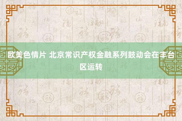 欧美色情片 北京常识产权金融系列鼓动会在丰台区运转
