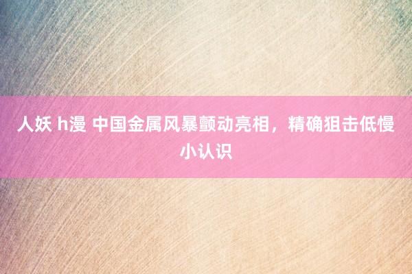 人妖 h漫 中国金属风暴颤动亮相，精确狙击低慢小认识