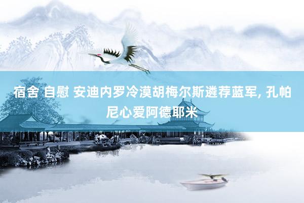 宿舍 自慰 安迪内罗冷漠胡梅尔斯遴荐蓝军， 孔帕尼心爱阿德耶米