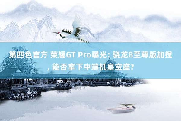 第四色官方 荣耀GT Pro曝光: 骁龙8至尊版加捏， 能否拿下中端机皇宝座?