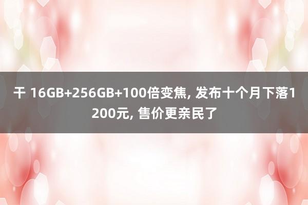 干 16GB+256GB+100倍变焦， 发布十个月下落1200元， 售价更亲民了