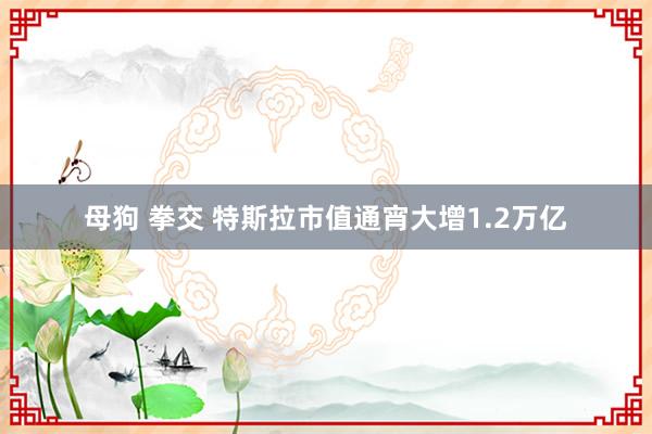 母狗 拳交 特斯拉市值通宵大增1.2万亿