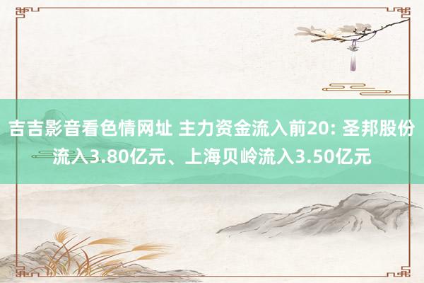 吉吉影音看色情网址 主力资金流入前20: 圣邦股份流入3.80亿元、上海贝岭流入3.50亿元