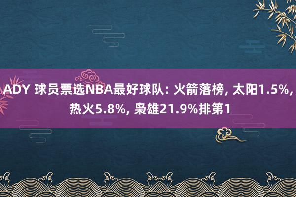 ADY 球员票选NBA最好球队: 火箭落榜， 太阳1.5%， 热火5.8%， 枭雄21.9%排第1
