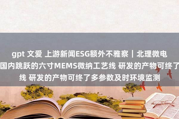 gpt 文爱 上游新闻ESG额外不雅察｜北理微电院院长谢会开：建成国内跳跃的六寸MEMS微纳工艺线 研发的产物可终了多参数及时环境监测